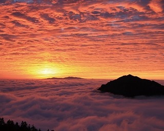雲上の夕映えや満天の星空を丸ごと楽しもう！ロープウェイで行く新穂高の紅葉