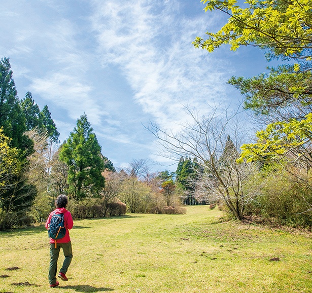 目指せ1日5,000歩！神奈川を歩いておトクをGET！