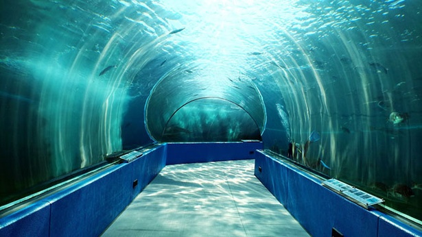 「旅好きが選ぶ！日本の動物園・水族館ランキング2018」水族館部門10位 のとじま水族館/石川県七尾市