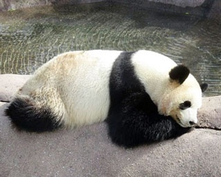 【全20枚】旅好きが選ぶ！日本の動物園ベスト10＆水族館ベスト10 全スポットを写真で紹介