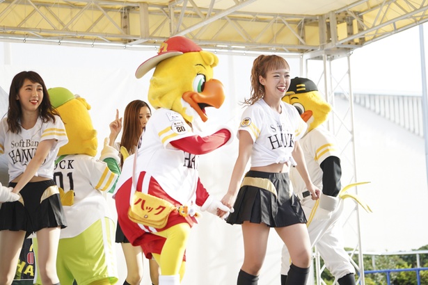 FAN! FUN! STAGEにてホークスファンとふれあうハニーズのメンバー