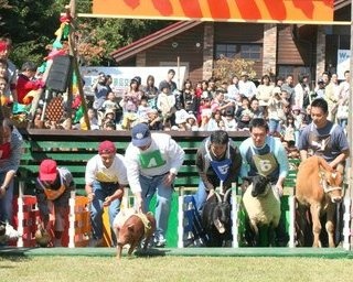 祭り限定メニューも登場！三重県伊賀市で「第24回収穫祭」開催