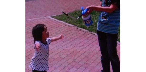 優しい霧なので、子供も一緒に楽しめる