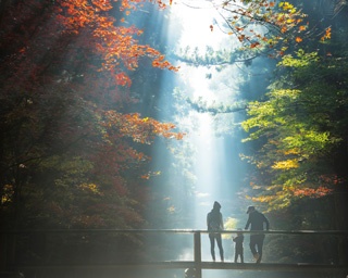 まるで映画のワンシーンのような写真が撮れる、奇跡の紅葉絶景を訪ねて静岡へ