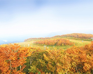 毎年恒例・夏油高原温泉郷の秋祭り！岩手県で「夏油高原紅葉まつり」開催