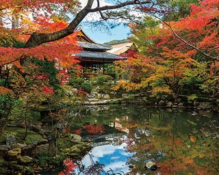 南禅寺天授庵で楽しむ秋の絶景！2つの美しい庭園紅葉を満喫