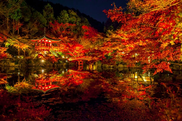 世界文化遺産の境内が紅葉に染まる 京都 醍醐寺で秋景色を堪能 ウォーカープラス