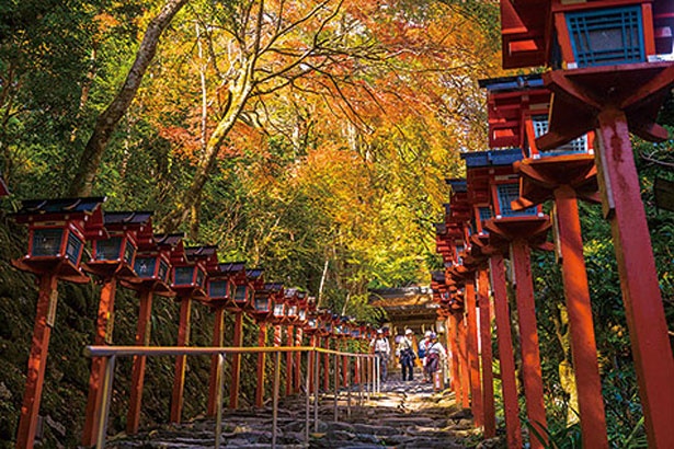 貴船神社の紅葉美景に感動したい 京の奥座敷で秋灯籠の光が共演 紅葉名所 ウォーカープラス