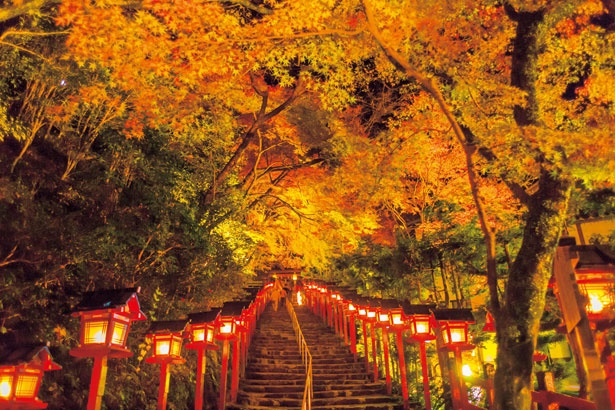 京都府の 例年11月上旬が見頃 の紅葉スポット 紅葉名所 ウォーカープラス