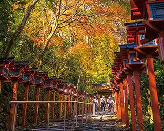 貴船神社の紅葉美景に感動したい！京の奥座敷で秋灯籠の光が共演