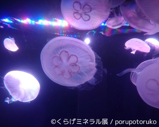 ゆらゆら×キラキラ。クラゲと鉱物の幻想的なコラボ展が名古屋で開催！