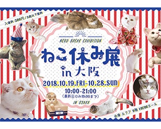 ハロウィン猫からガンバ大阪コラボまで！ 猫の写真展「ねこ休み展」が1年半ぶりに大阪開催