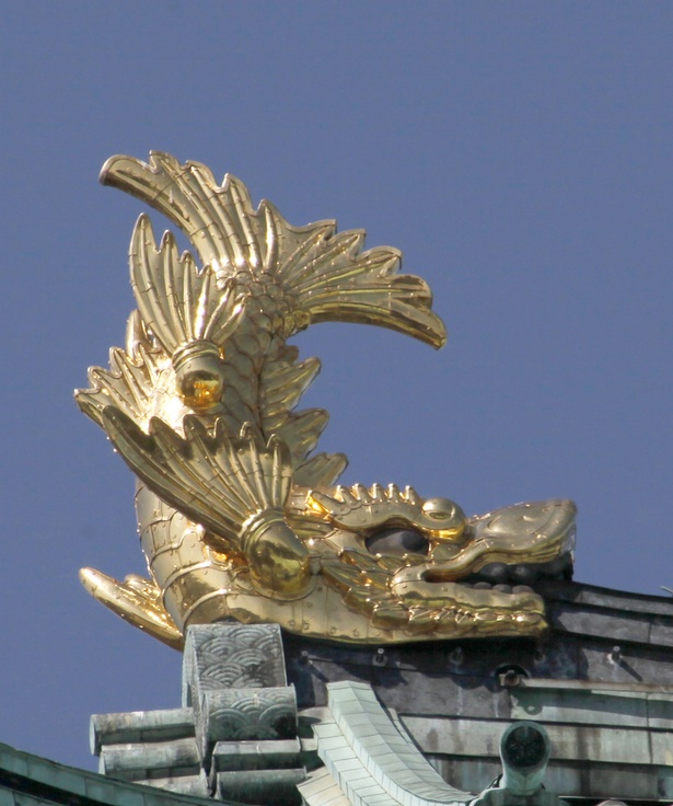 金鯱には性別があり、北側が雄・南側が雌。雌は雄よりもうろこ枚数が多い