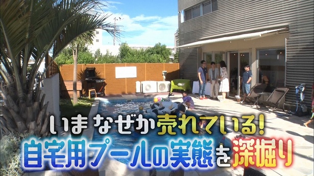 【写真を見る】マツコデラックスが魅了される自宅用プール