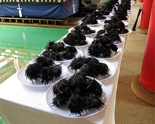 下関名産のウニの供養!?山口県の赤間神宮で「うに供養祭」開催