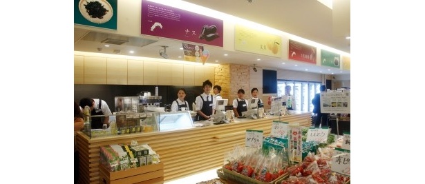 高知の名産品がズラリ
