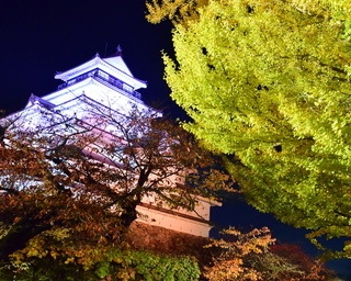 鶴ヶ城と紅葉の幻想的な美しさを堪能！福島県会津若松市「鶴ヶ城紅葉ライトアップ」
