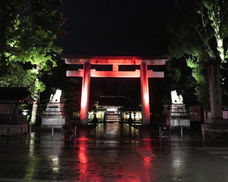 幻想的なライトアップイベント！近江多賀で「神あかり」開催