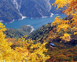 日本一のアーチ式ダム・黒部ダムと日本屈指の立山連峰！富山県立山で紅葉が見頃