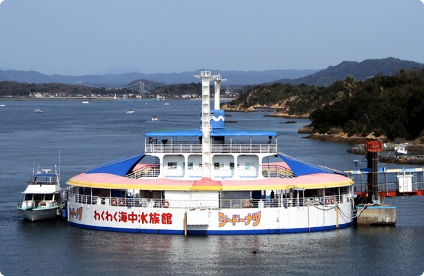 熊本県上天草市 わくわく海中水族館で ナイト水族館 開催中 ウォーカープラス