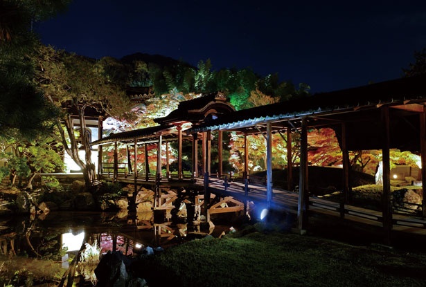 池に映る紅葉が美しい庭園美 高台寺で望む秋 ウォーカープラス