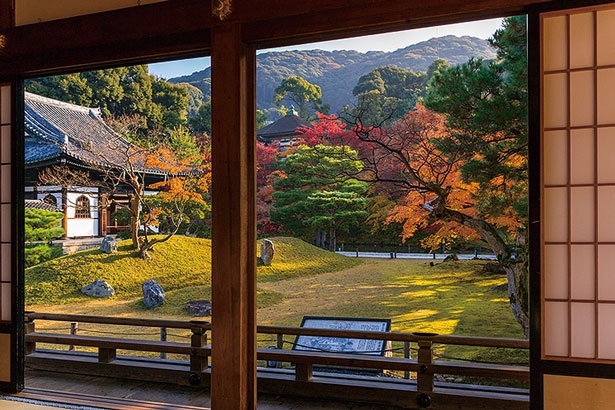 池に映る紅葉が美しい庭園美 高台寺で望む秋 ウォーカープラス