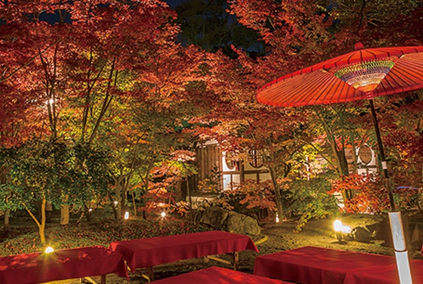 美しい日本庭園を眺めながら、みたらし団子やお茶で一服できる茶屋/永観堂