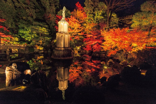 池に映る紅葉と像の景色が見事！/知恩院