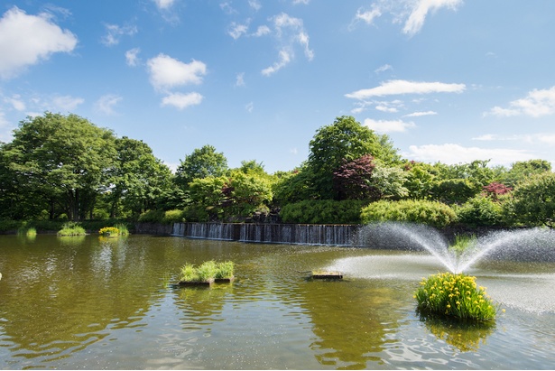 都立武蔵国分寺公園。芝生が広がる円形広場のほか、扇の滝を望める武蔵の池も