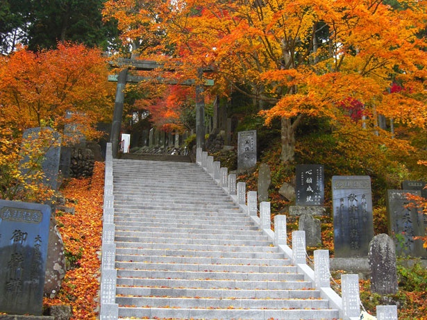 紅葉の時期にはモミジが色付き、武蔵御嶽神社に向かう参道が美しく彩られる