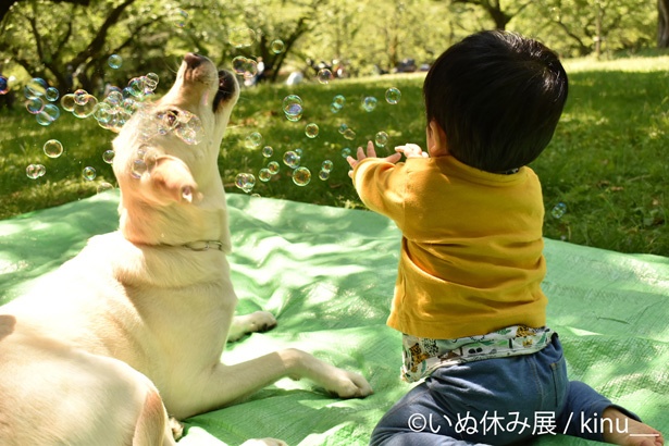 反則級にかわいいワンちゃんの写真をチラ見せ 犬派待望の いぬ休み展 が名古屋で開催 ウォーカープラス