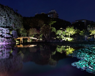 今夏20年ぶりに公開された夜間参観が秋も開催決定！ 東本願寺「渉成園(枳殻邸)」夜間参観でスペシャルなライトアップを