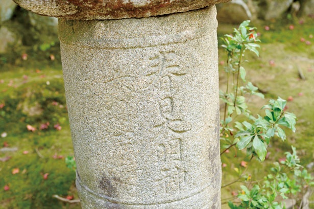 「春日大明神」の刻印。ほとんどの燈籠には「春日社」と刻まれている。時代の古そうな燈籠を探してみよう/春日大社