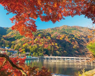 ライトアップも要チェック！紅葉で赤く染まった秋の嵐山と渡月橋