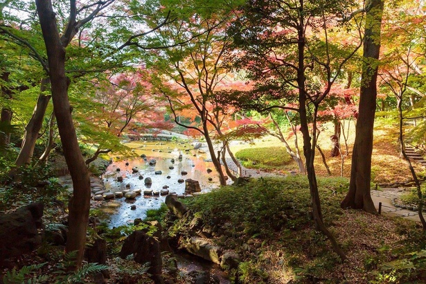 趣の異なる紅葉を堪能 小石川後楽園の見どころはココ 紅葉名所 ウォーカープラス