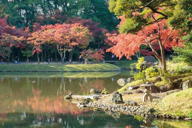 趣の異なる紅葉を堪能 小石川後楽園の見どころはココ ウォーカープラス