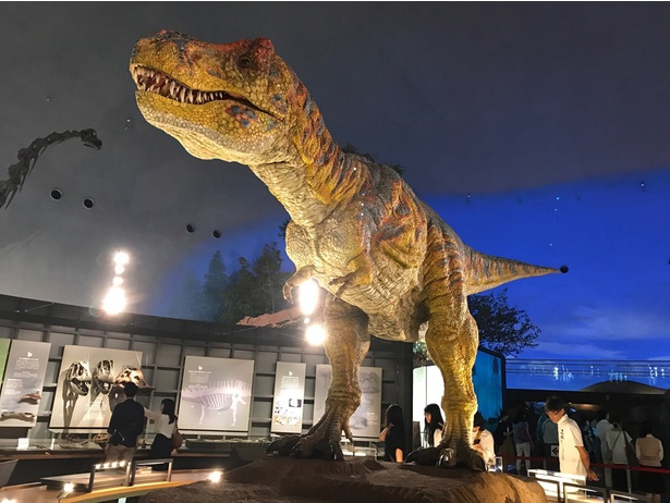 6位 福井県立恐竜博物館(福井県勝山市)