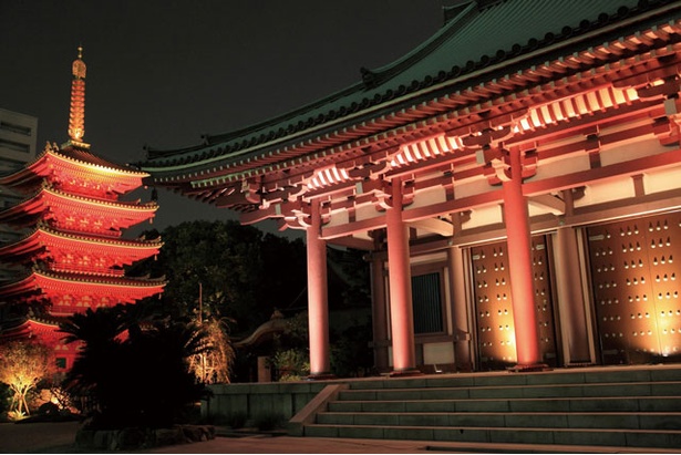 【写真を見る】博多旧市街ライトアップウォーク 千年煌夜 / 大博通り沿いにある東長寺では、本堂や五重塔をライトアップする