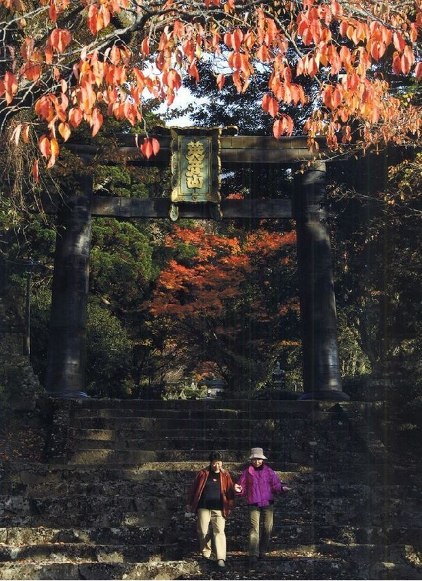 英彦山(福岡県田川郡) / 日本屈指の霊山で紅葉と神々に癒される
