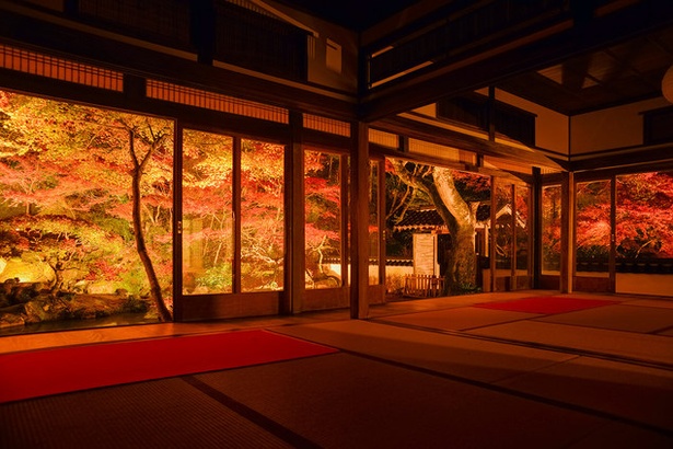 藤江氏魚楽園(福岡県田川郡川崎町) / 照明デザイナーが演出する幻想的な紅葉風景