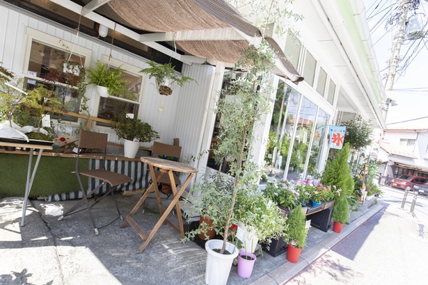 日本で最も古い生花店に併設 Haha Cafe 花に囲まれた元町の癒しの空間で和む ウォーカープラス