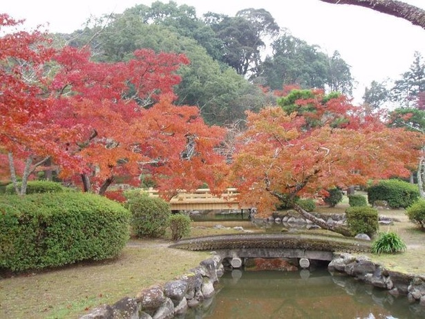 西渓公園(佐賀県多久市多久町) / 燃えるような赤色に染まる庭園