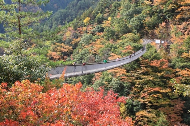 五家荘(熊本県八代市泉町) / 平家落人伝説が残る日本有数の秘境を彩る紅葉