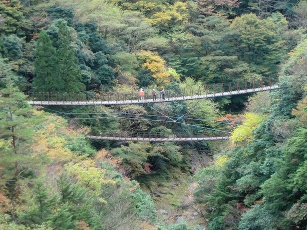 五家荘(樅木の吊橋)(熊本県八代市泉町) / 2つある親子橋を渡ろう！