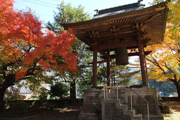 球磨川(熊本県球磨郡球磨村) / 日本三大急流と紅葉を楽しむ