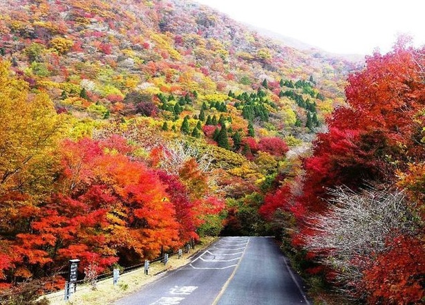 くじゅう連山(大分県竹田市久住町) / 鮮やかな山肌のくじゅう連山