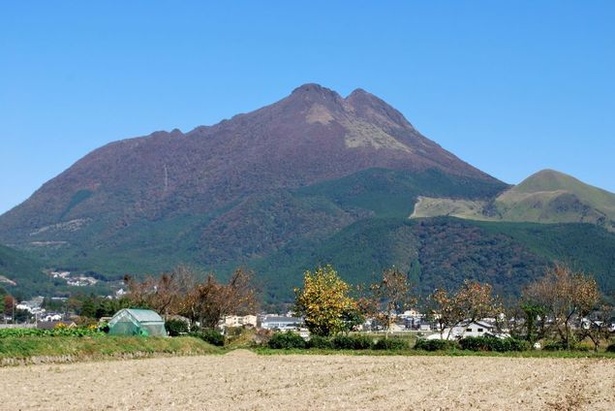 由布岳(大分県由布市湯布院町) / 由布院を象徴する由布岳が鮮やかに彩られる