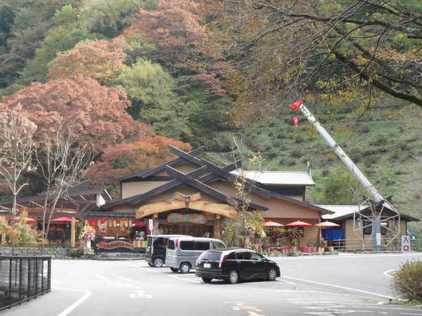 九酔渓(大分県玖珠郡九重町) / 日本最大級の人道大吊橋からの景色が人気