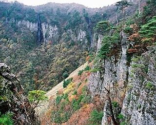 鱒返しの滝との組み合わせが絶景！鳥取県・船上山の紅葉が見頃