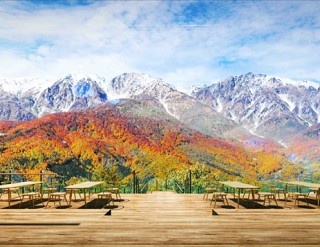 標高1289m！白馬に絶景“紅葉狩りスポット”誕生